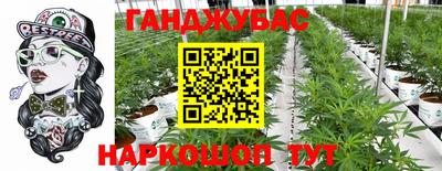 СК Дубна