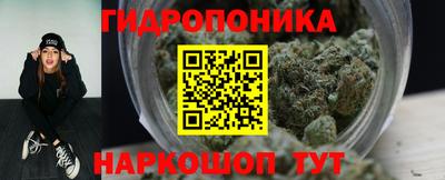 СК Дубна