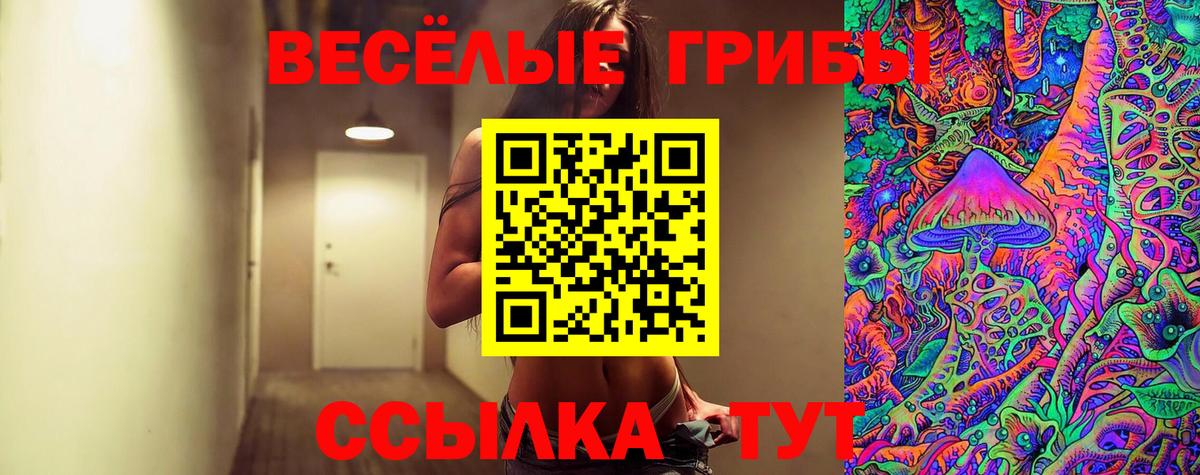 Галлюциногенные грибы Magic Shrooms Медногорск