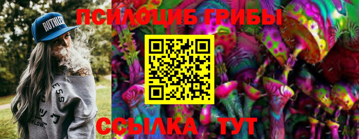 Медногорск  Галлюциногенные грибы Psilocybe  как найти закладки  Вход с VPN  Галлюциногенные грибы прущие грибы 
